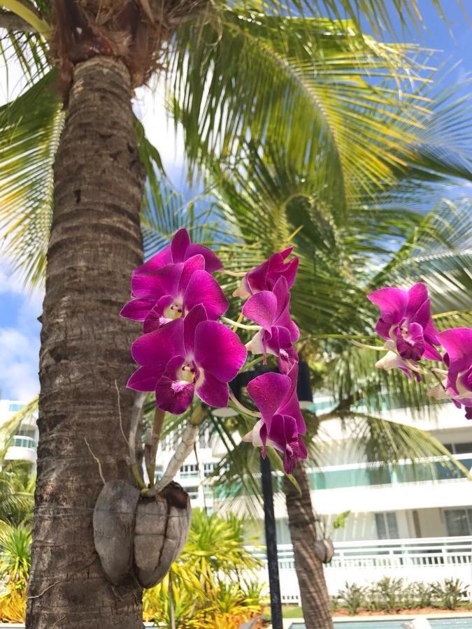 In Mare Bali Residencial Resort Pium de Cima Экстерьер фото